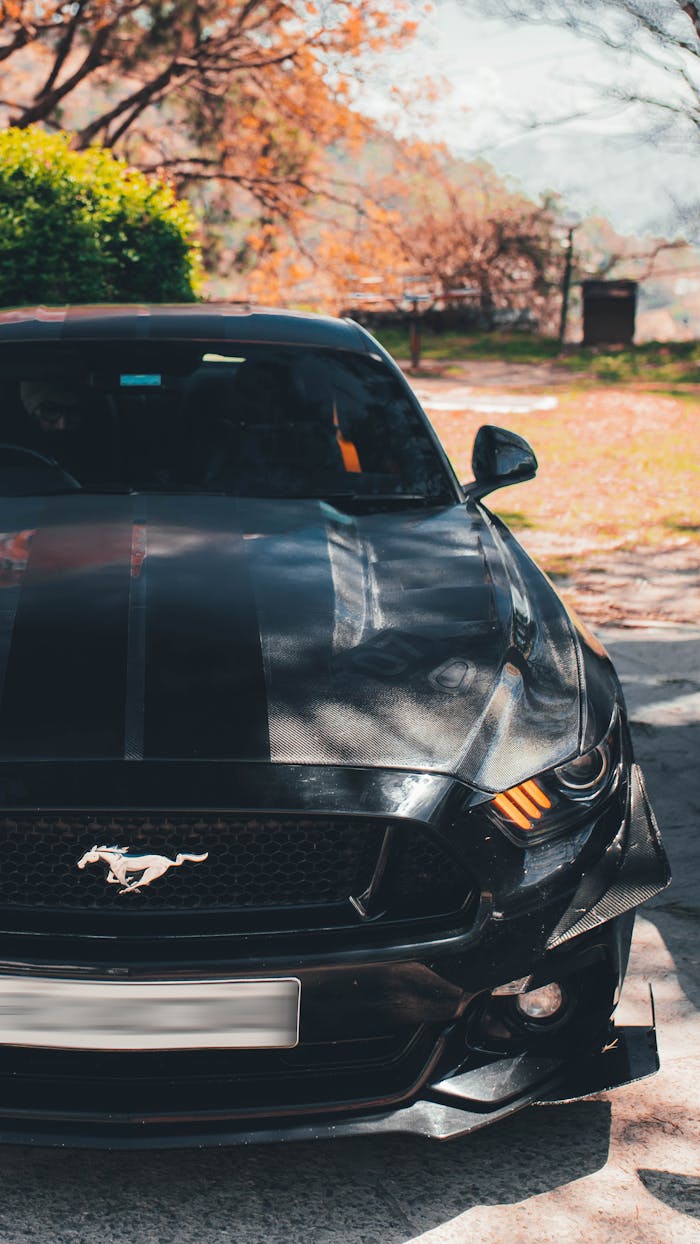 A sleek black Ford Mustang parked on a picturesque road in Shimla, India during autumn.
